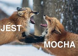 Jest Vs Mocha